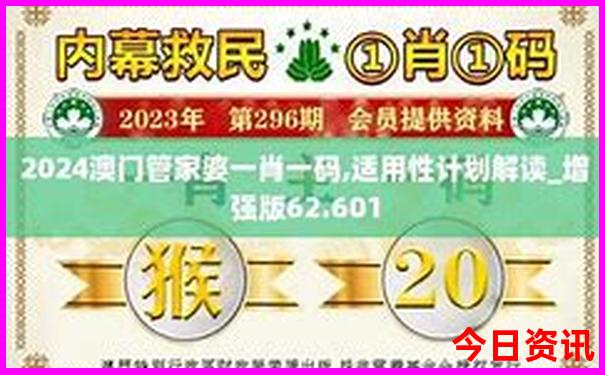 正版资料